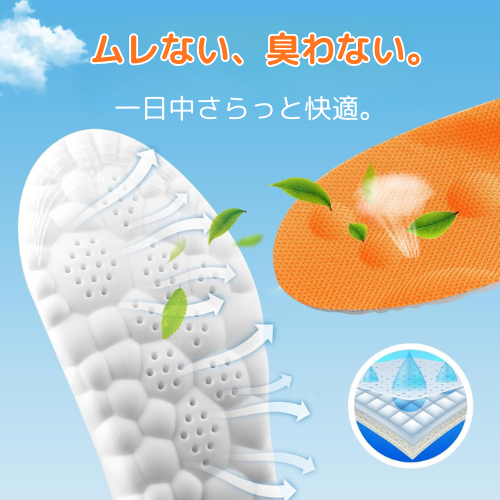 足ラク革命インソール