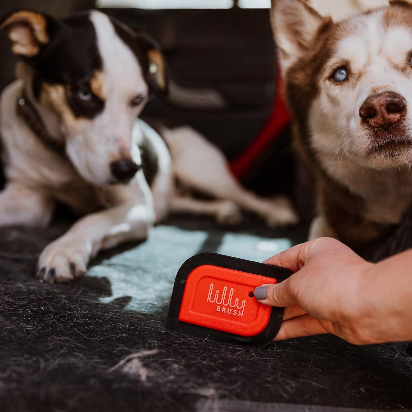 Lilly Brush Mini Pet Hair Detailer, Reusable Fur Remover for Car Interior