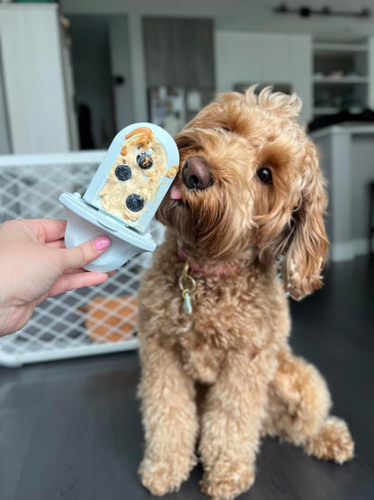 Groov Crate Training Aid for Puppies and Nervous Dogs, Calming Lick Mat